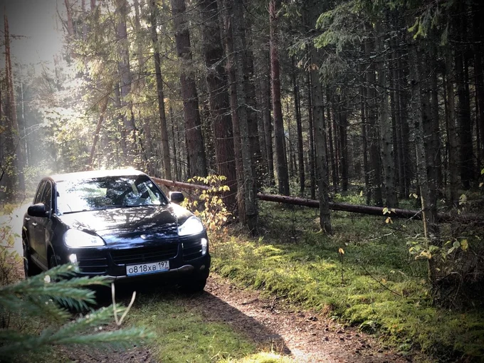 Поездки по окрестностям Суздаля