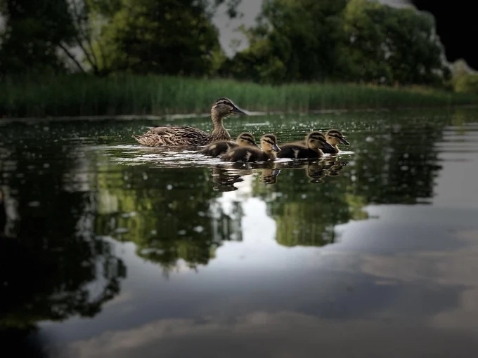 Прогулка с фотографом