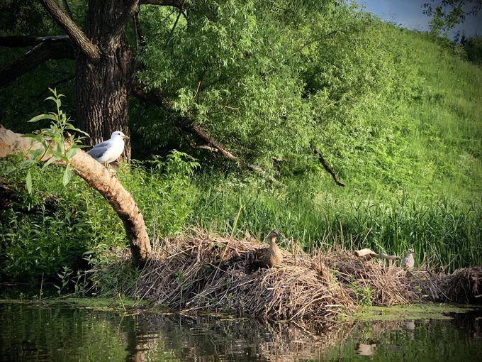 Прогулка с фотографом